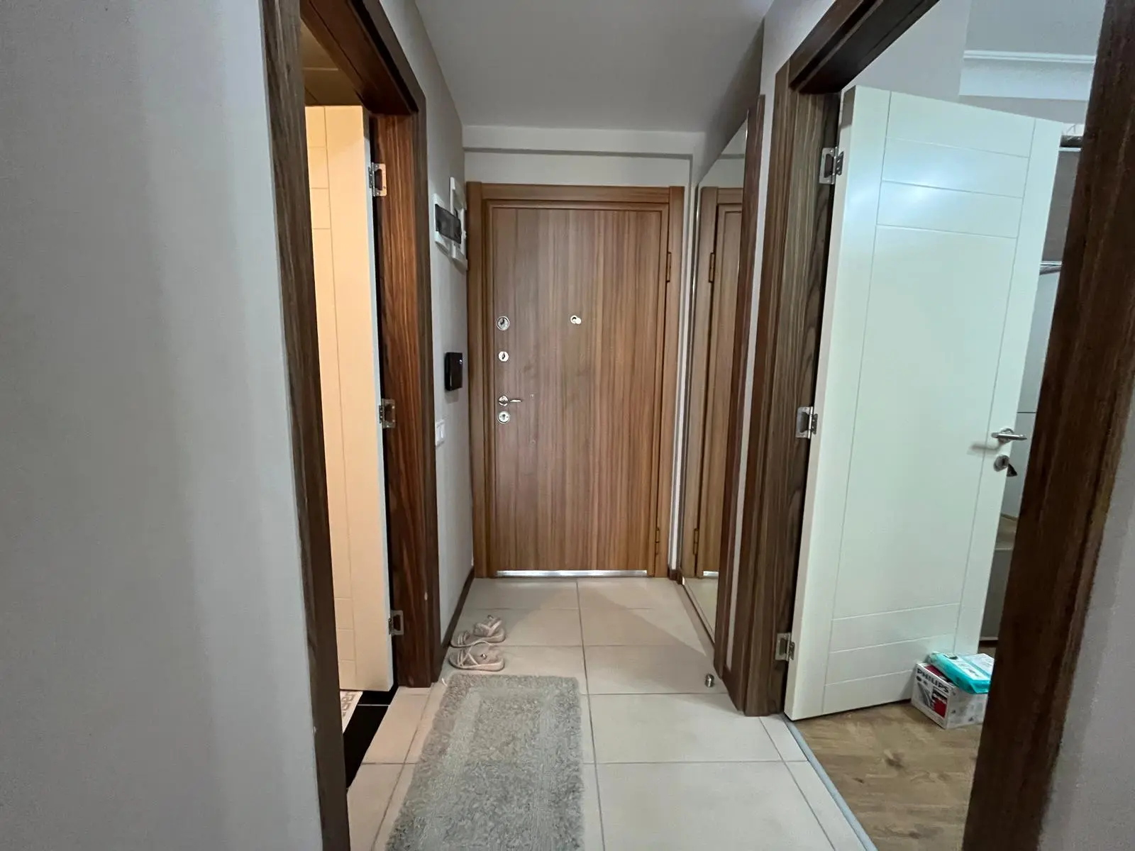 Flat entrance